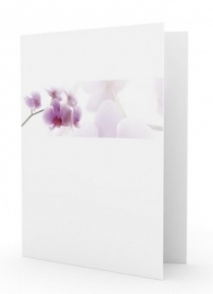 Orchidee in balk - dankbetuigingkaart
