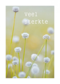 Veel sterkte - Zuiver Collectie