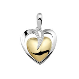 110 SB Zilver /Geelgoud Verguld See You