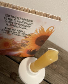 Giftbox, zonnebloem