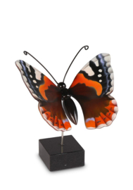 herinnering / As vlinder Atalanta VL196005
