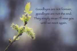 ansichtkaart "Goodbyes are not forever"