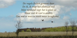 zakdoekjes Vogels