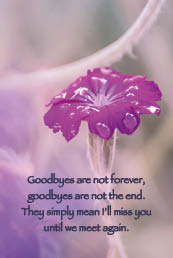 Goodbyes are not forever - kadolabel