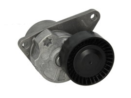 SCHAEFFLER 534 0103 10 v-riem spanrol Volvo