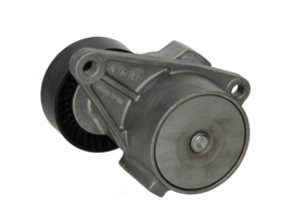 SCHAEFFLER 534 0103 10 v-riem spanrol Volvo