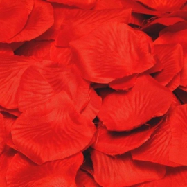 Rose pettals red