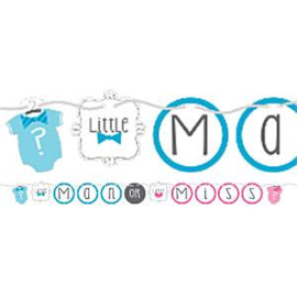 Babyshower banner Little Ms or Mr