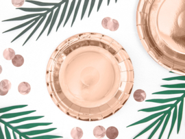 Paper plates rose gold (6pcs)