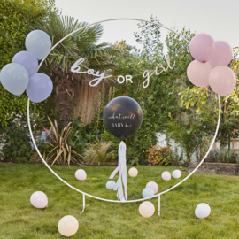 Gender reveal party set