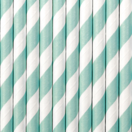 Paper straws mint green (10pcs)