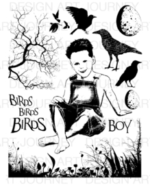 Bird Boy
