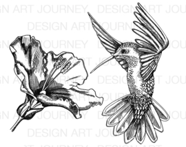Hummingbird & Flower