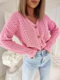 CoCo Sweater Pink