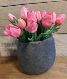 Bosje Tulpjes roze