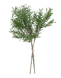 Gleichenia boeketje groen
