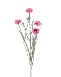 Kunsttak Centaurea ( korenbloem )