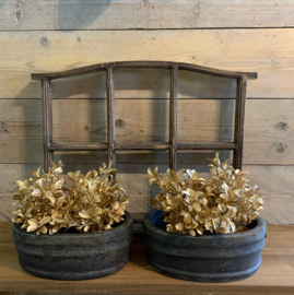 mini Buxus gold / zilver
