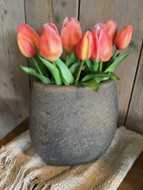 Bosje tulpen  Zalm