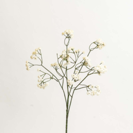 Kunsttak  Gypsophila Creme