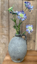 Zijdebloem  Anemone blauw