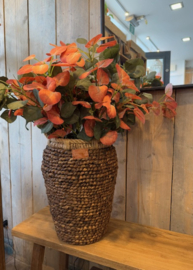 Hoge rotan  mand vaas met handgrepen