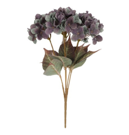 Hortensia bundel lila - paars