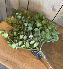Eucalyptus kunsttak groen