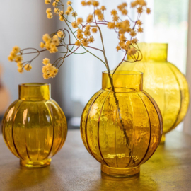 Gypsophila geel