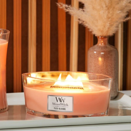 Woodwick Ellipse  candle Yuzu blooms