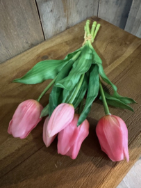 Bosje Tulpjes roze
