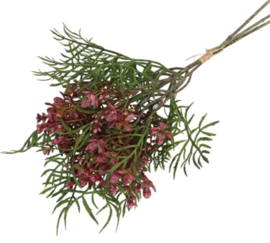 Brassica boeket bordeaux