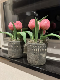 Kunst tulpen in potje