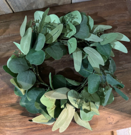 Eucalyptus krans groen