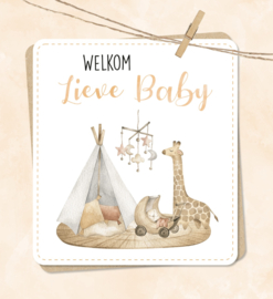 Welkom lieve baby