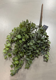 Eucalyptus kunsttak groen