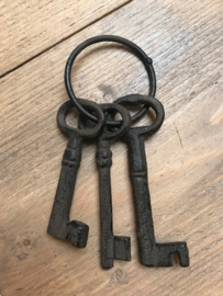 3 Decoratie sleutels aan ring