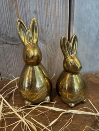 Decoratieve haas goud