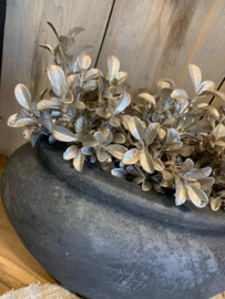 mini Buxus gold / zilver
