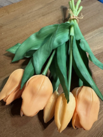 Bosje Tulpjes zalm