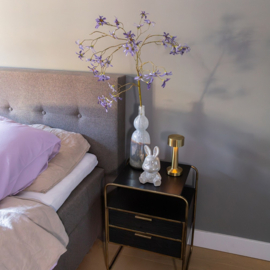 Magnolia stallata tak blauw