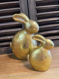 Haas  / Konijn goud