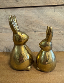 Decoratieve haas goud