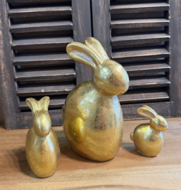Haas  / Konijn goud