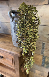 Mooie hangende eucalyptus  kunsttak