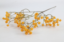 Kunsttak  Gypsophila  oker geel