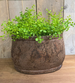 Bloempot Old Brown