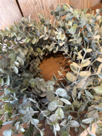 Eucalyptus krans 30 cm