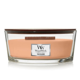 Woodwick Ellipse  candle Yuzu blooms
