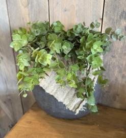 Eucalyptus kunsttak groen
